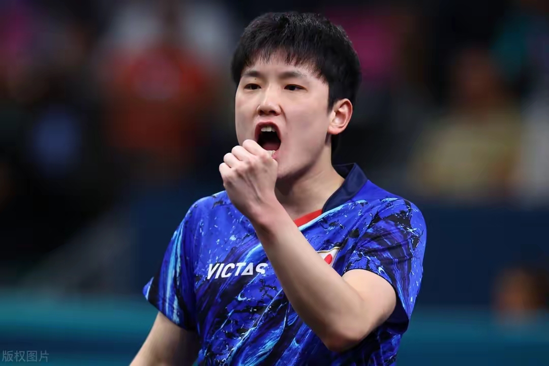比利时乒乓球队力克日本乒乓球队,张本智和爆发神勇 比利时乒乓球队力克日本乒乓球队,张本智和爆发神勇