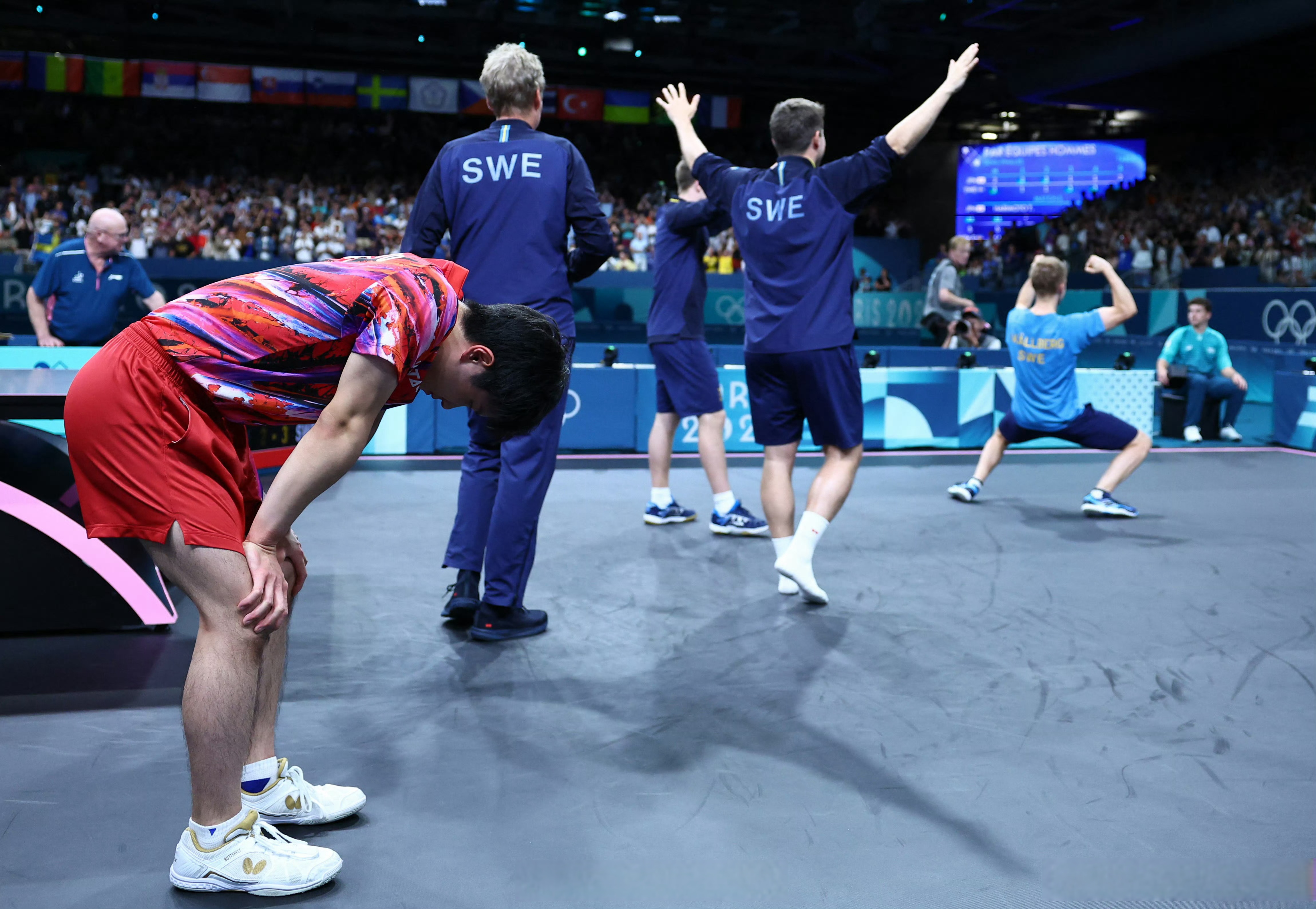 比利时乒乓球队横扫瑞典乒乓球队，张本智和绝境逆转